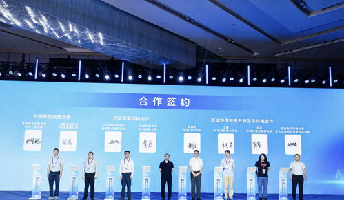 85条供需信息集中发布，成都开源生态建设大会引领软件技术推广新浪潮